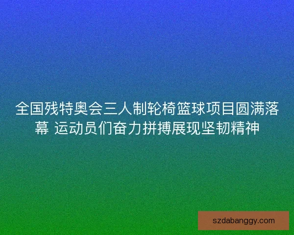 全国残特奥会三人制轮椅篮球项目圆满落幕 运动员们奋力拼搏展现坚韧精神
